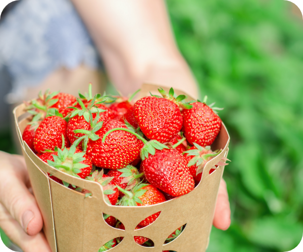 バスケットに詰まった苺の写真